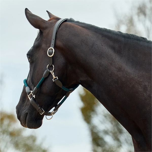 2026 Dublin Leather Rope Headcollar 1031533 - Hunter Green / Brown